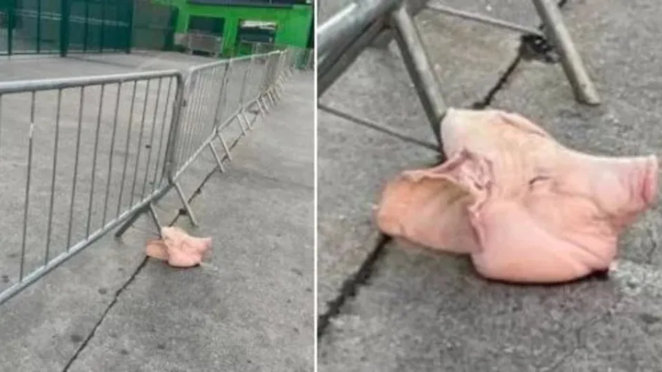 Responsável por cabeça de porco não poderá ir a jogos e terá conta excluída